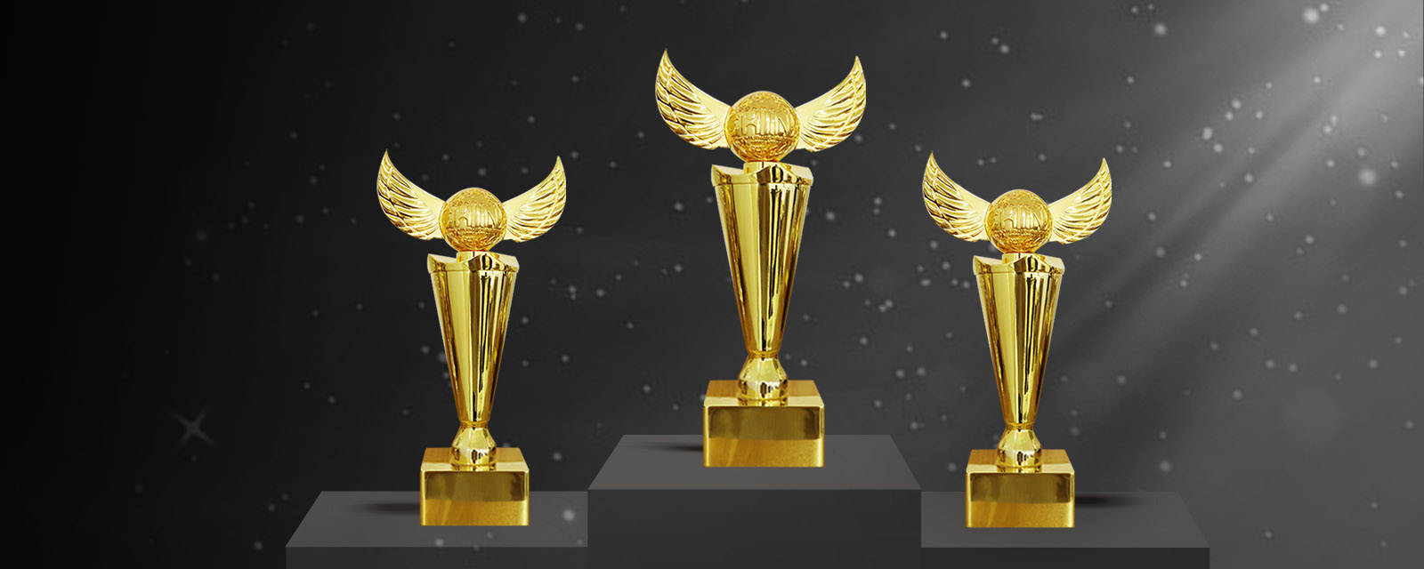 今晚香港最精准马资料大全