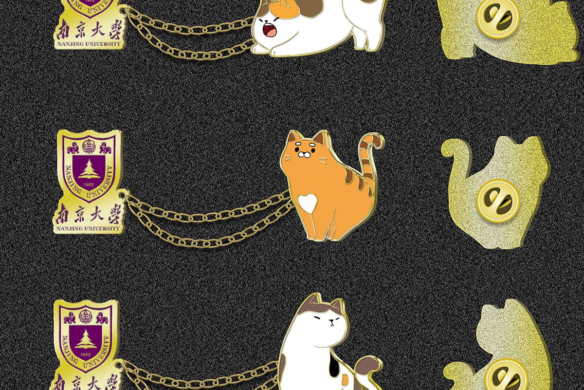 今晚香港最精准马资料大全