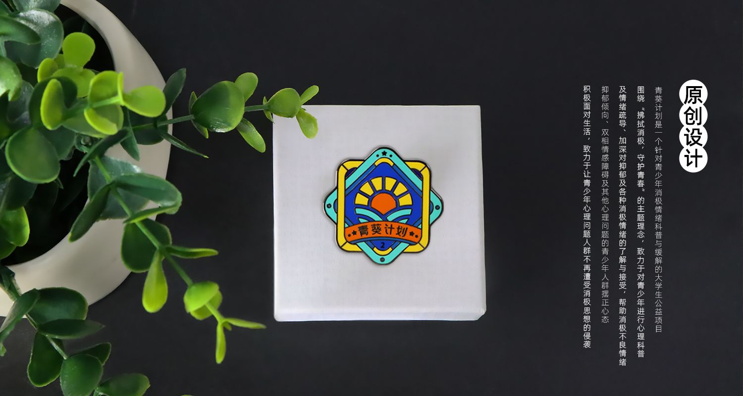 青葵计划徽章0123.jpg