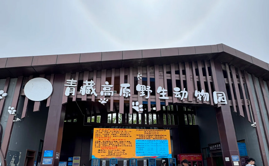 青藏高原野生动物园文创产品案例